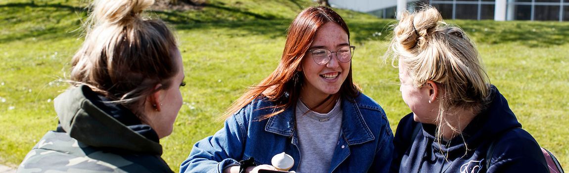 three students chatting on grass verge