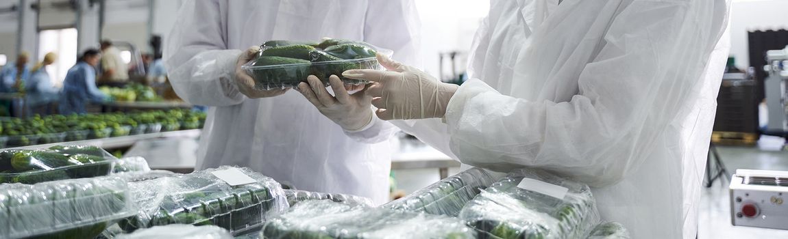 Courgettes in sustainable packaging