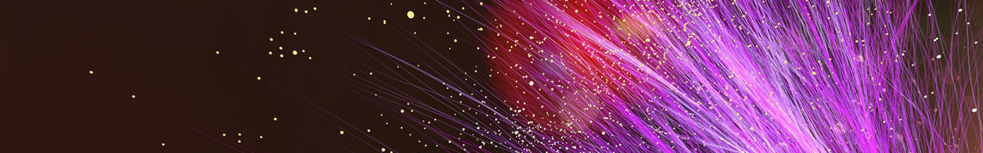 header image graphic