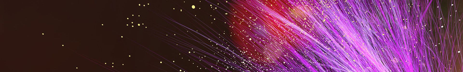 header image graphic