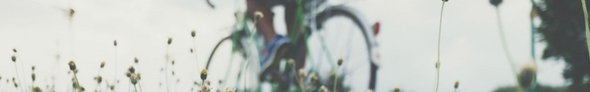 Flowers in the grass and a bicycle