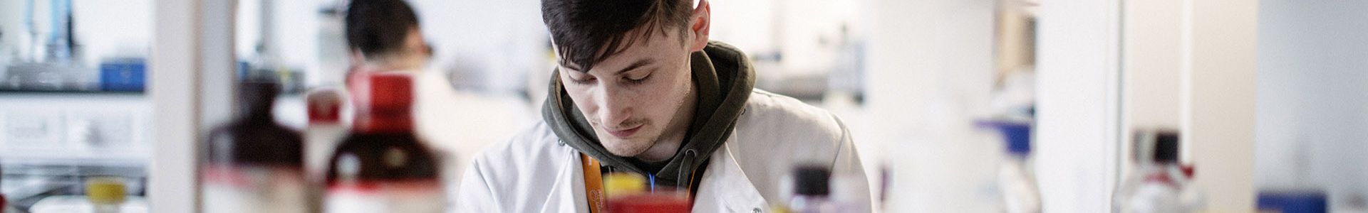 Students studying in a lab