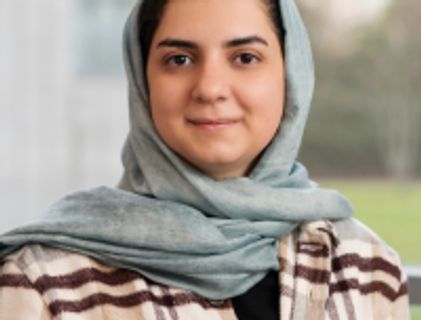 Image for Saeedeh Mohammadi 