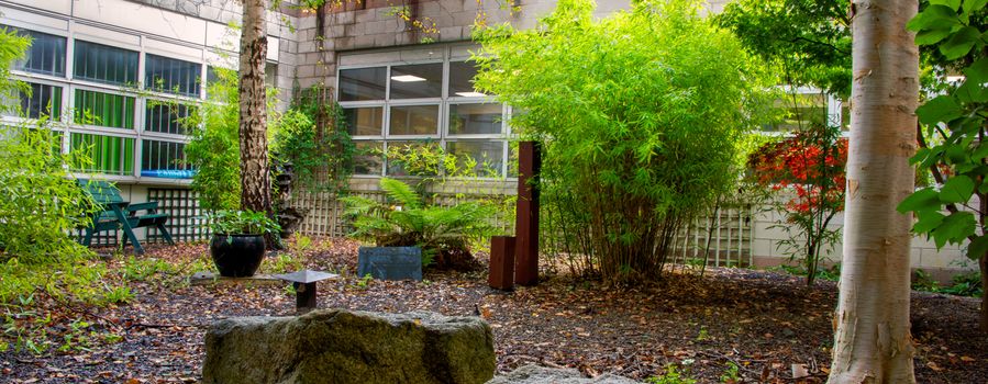 Tallaght campus remembrance garden