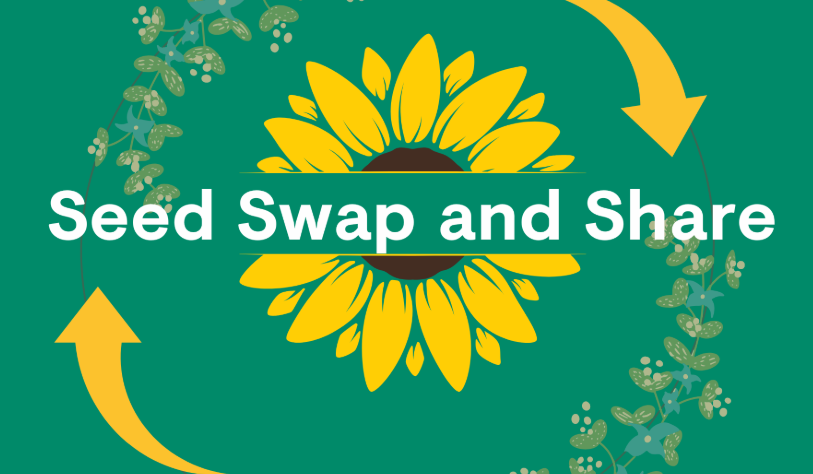 Image of flower to represent Seed Swap at TU Dublin Libraries