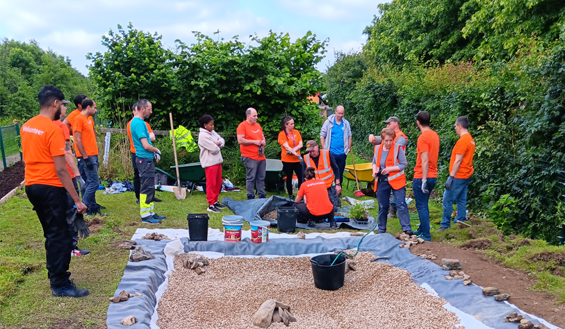 volunteers in orange vests digging a new pond