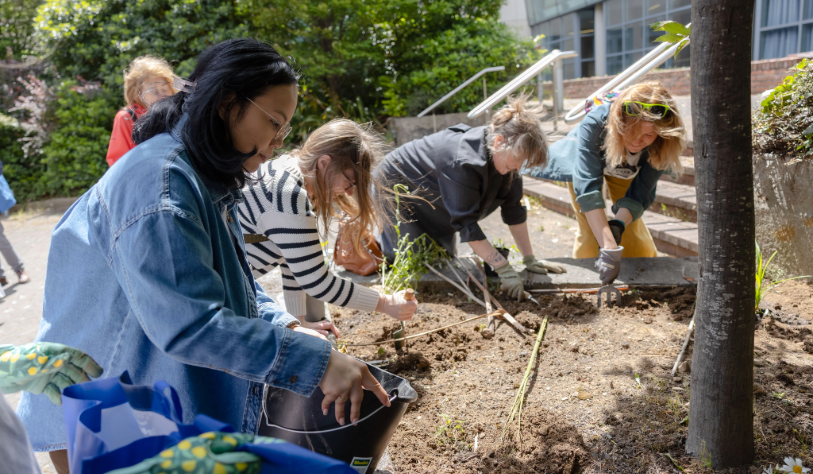 Volunteers helping at Aungier Street micro-garden
