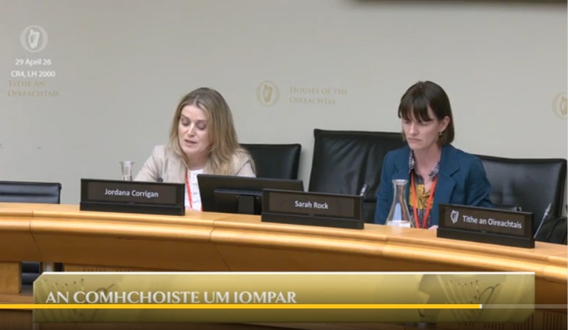 Joint Oireachtas Committee photo