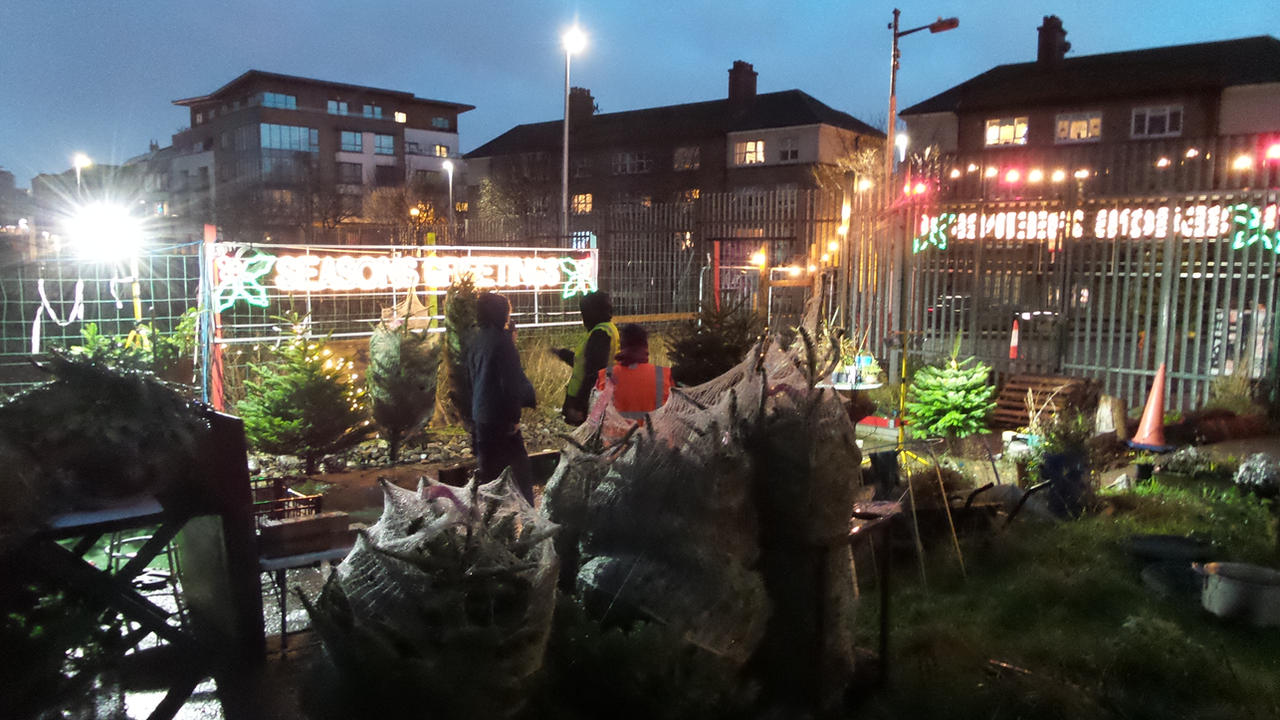 Community garden at nighttime