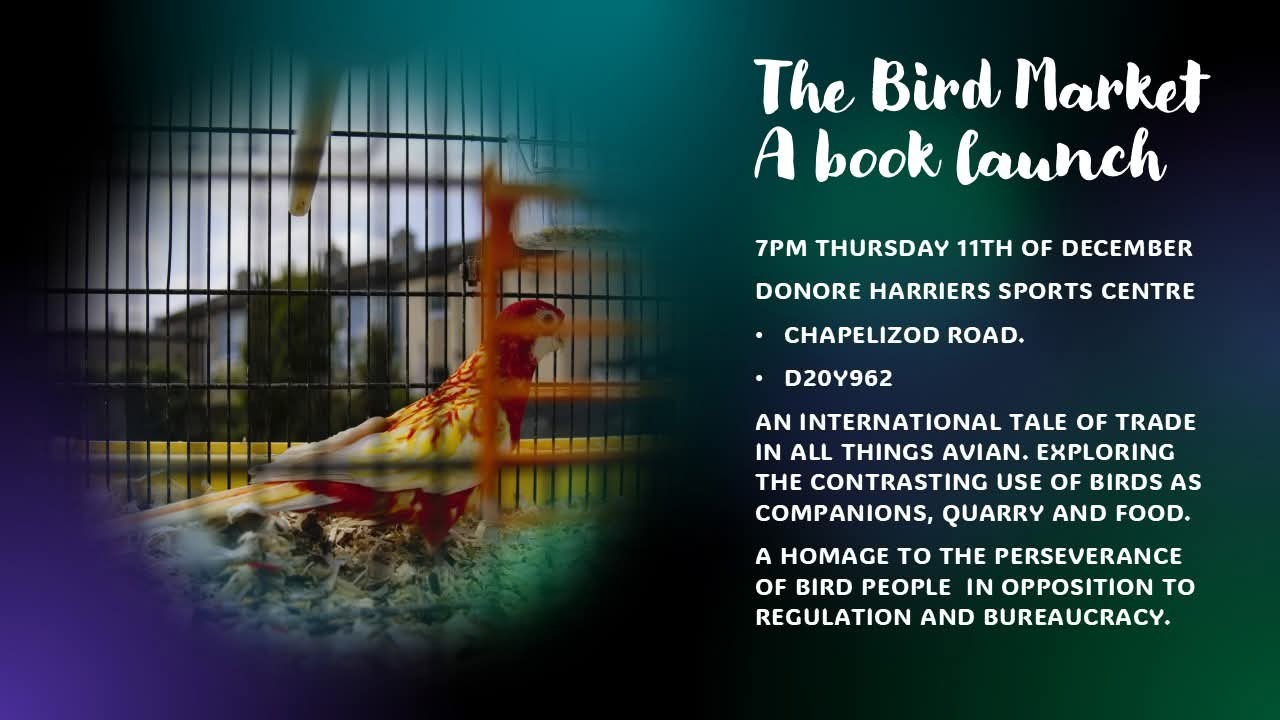 The Bird Market Book Launch