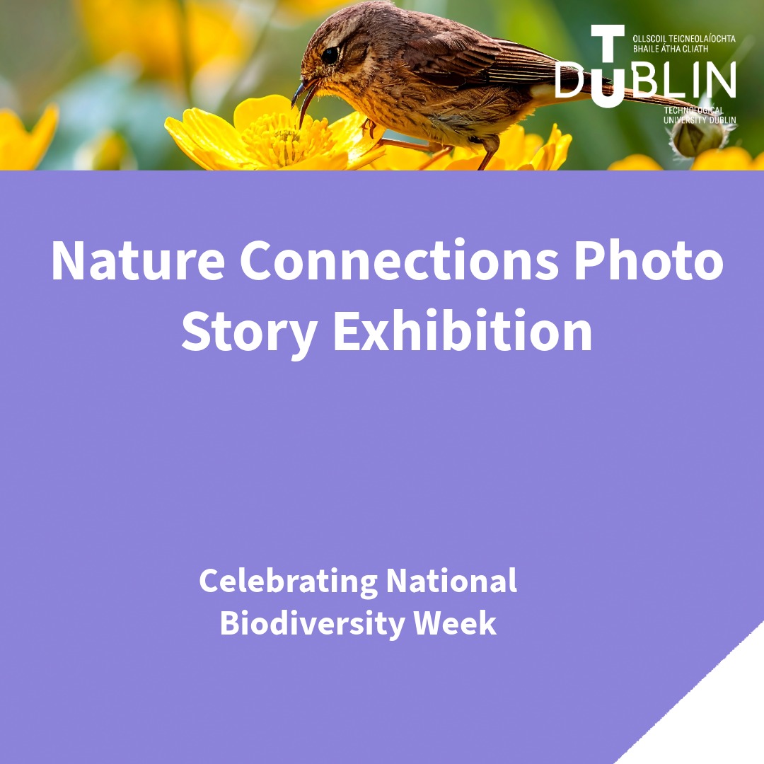 Nature Connections Photo Story Exhibition | Workplace Wellbeing | News ...