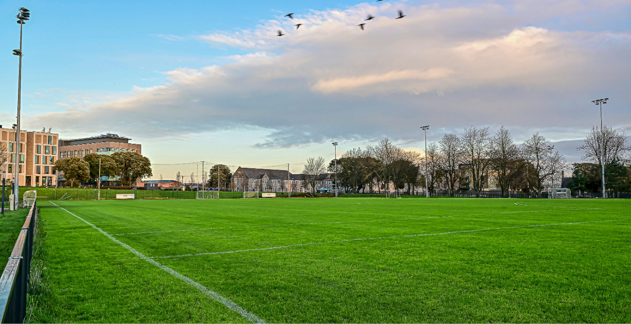 GAA Pitch GG 1265x650