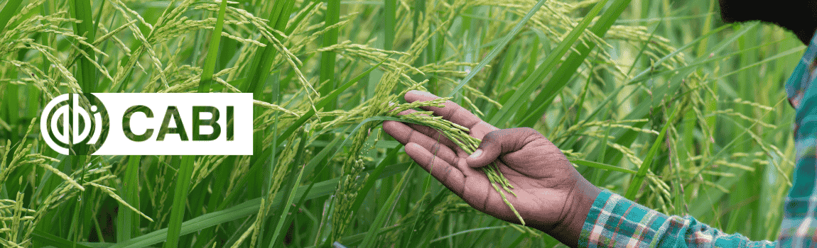 The CABI logo over a photo of a hand touching a long grass