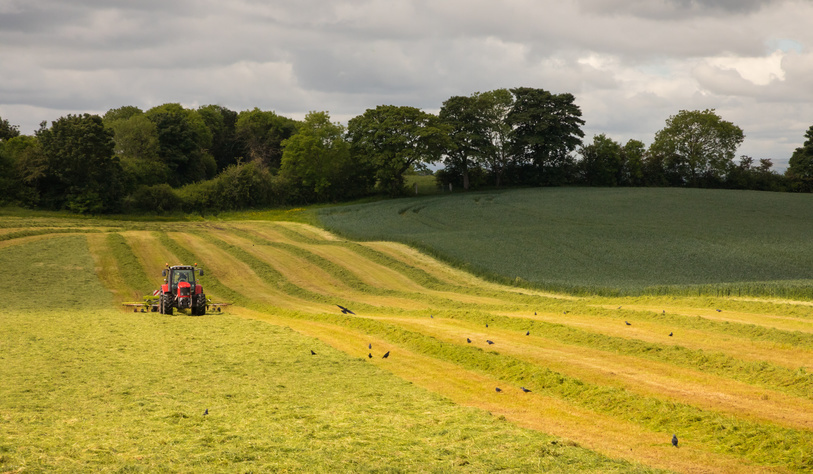 Red tractor mowing Irish field