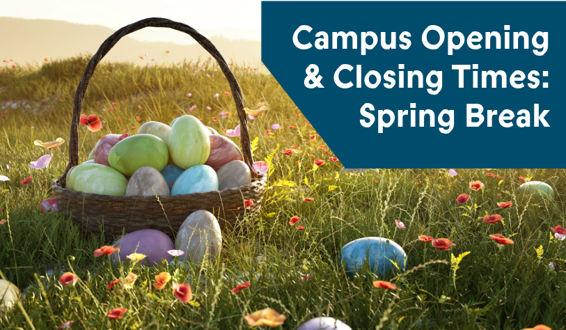 A basket of pastel-colored eggs sits in a grassy field with orange flowers. Text reads, 