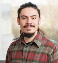 Image for Michele D'Errico