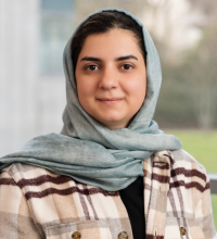 Image for Saeedeh Mohammadi 