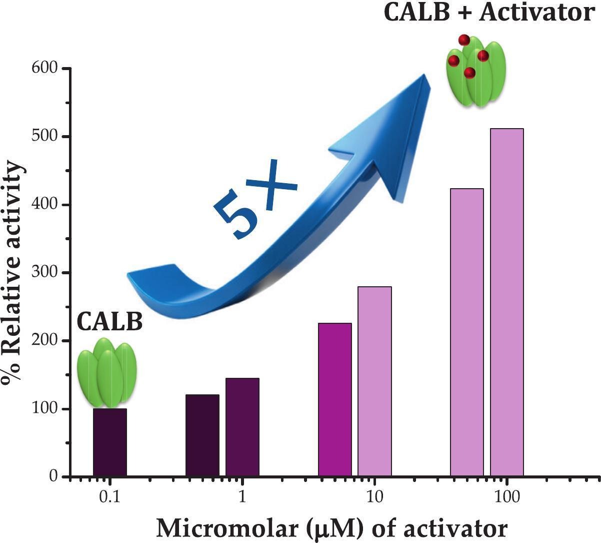 Graphical Abstract of CALB paper