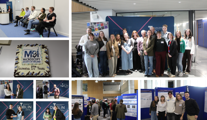 MSI 50 TU Dublin Header