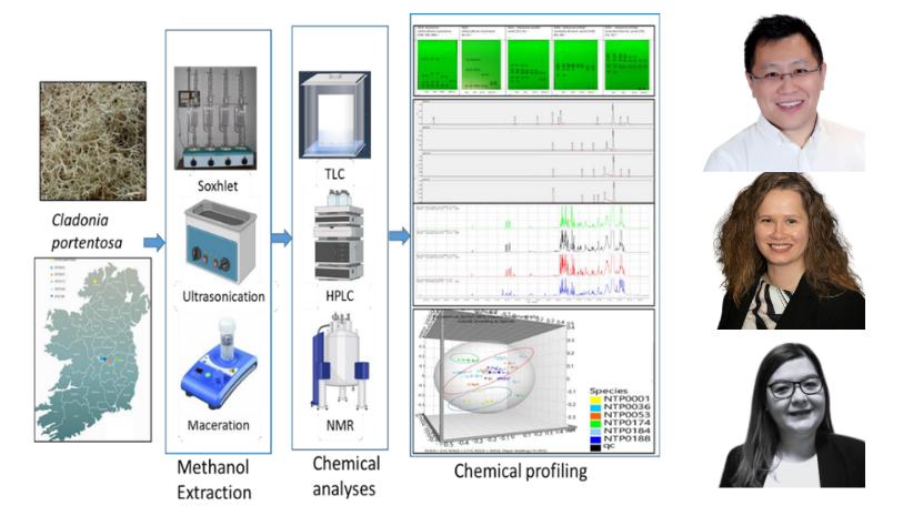 World Wildlife Day 2026 Tao Zhang Header