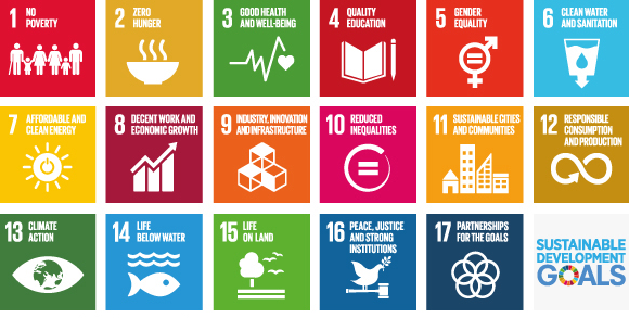 Illustration of 16 search queries related to Sustainable Development Goals
